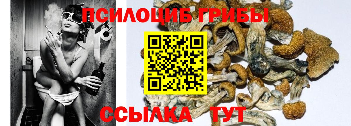 Галлюциногенные грибы Magic Shrooms  магазин продажи   Оренбург  Вход с VPN  Галлюциногенные грибы Psilocybe 