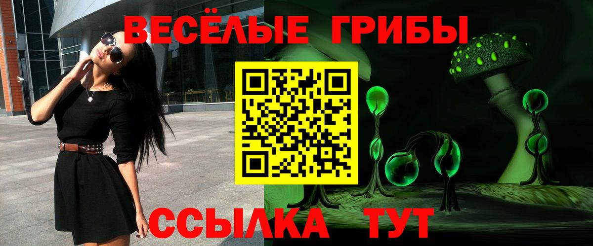 Галлюциногенные грибы Psilocybine cubensis Оренбург